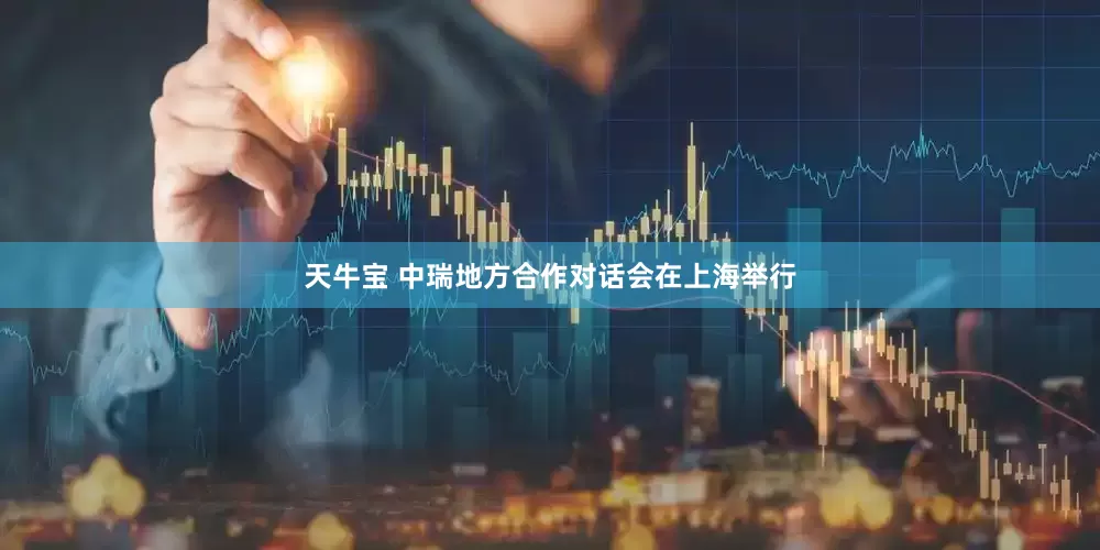 天牛宝 中瑞地方合作对话会在上海举行