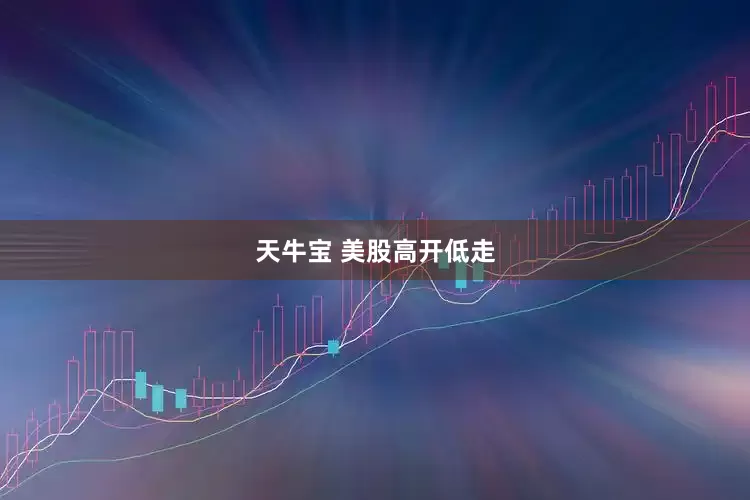 天牛宝 美股高开低走