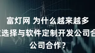 富灯网 为什么越来越多单位选择与软件定制开发公司合作？