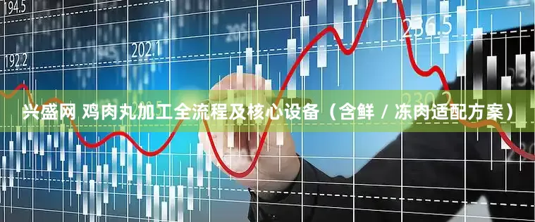 兴盛网 鸡肉丸加工全流程及核心设备（含鲜 / 冻肉适配方案）